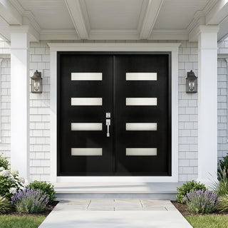 Contemporary Double Entry Door