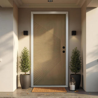 36" x 80" Black Fiberglass Entry Door, Pre-Primed Frame, Exterior Front Door with Knock-Down Easy Installation